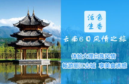 國內(nèi)旅游新趨勢 在線預(yù)訂與支付的全面升級